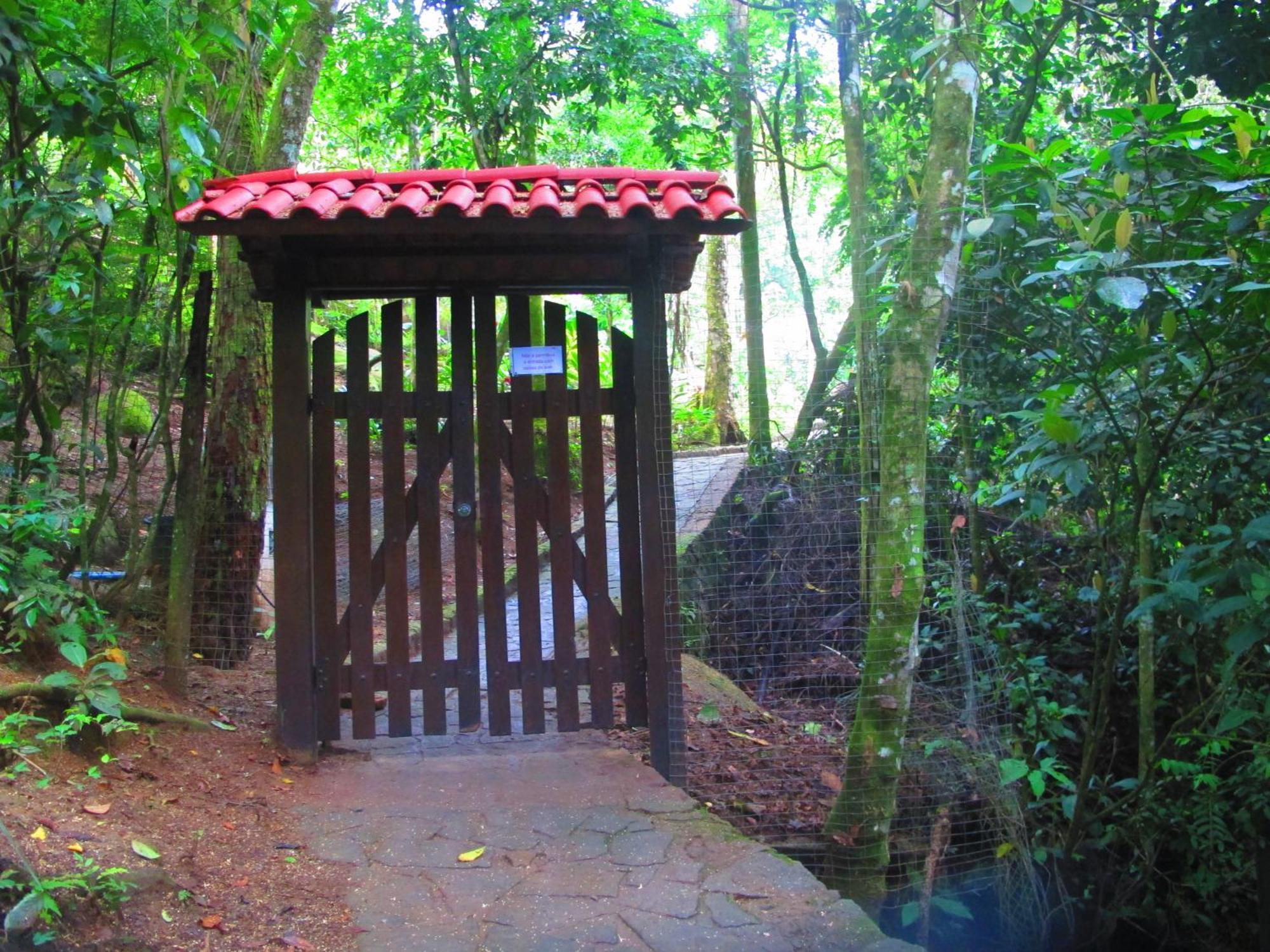 Bangalo Na Acqua Jungle Lodge Vila do Abraao Exterior photo